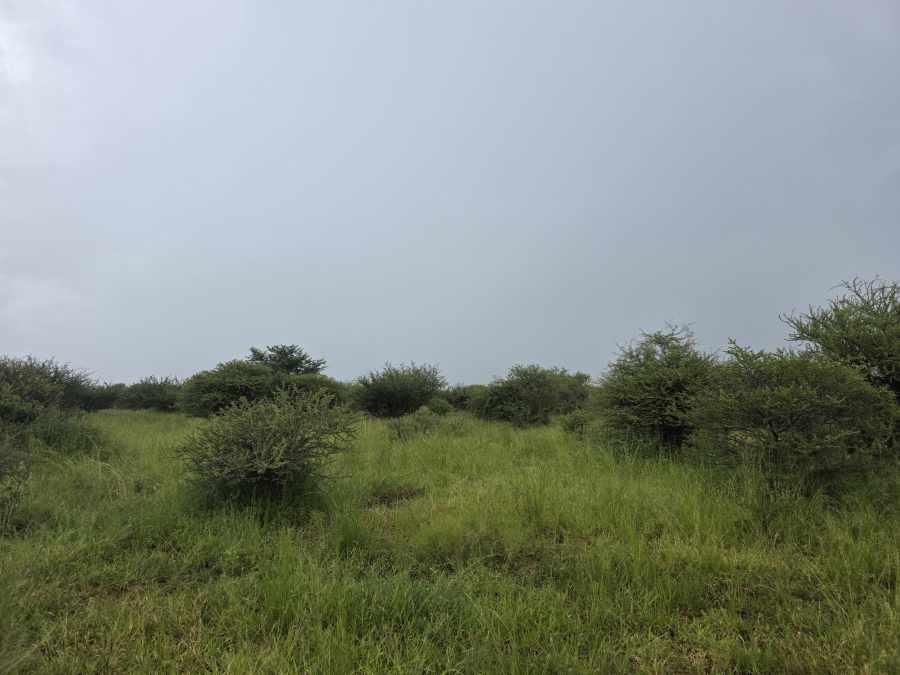 4 Bedroom Property for Sale in Crecy Limpopo