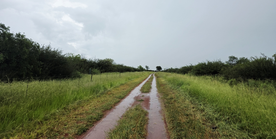 4 Bedroom Property for Sale in Crecy Limpopo