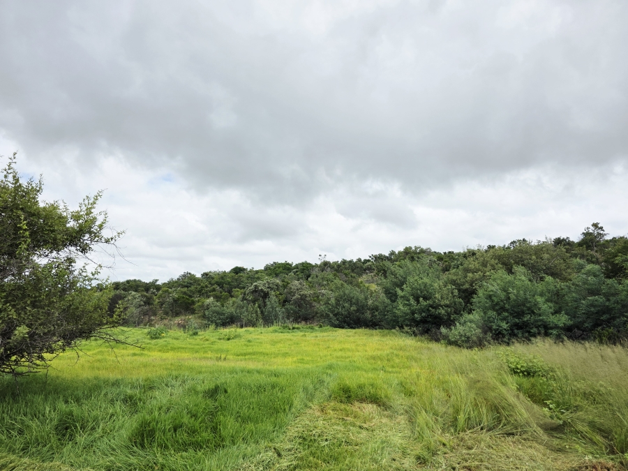 5 Bedroom Property for Sale in Mookgopong Limpopo