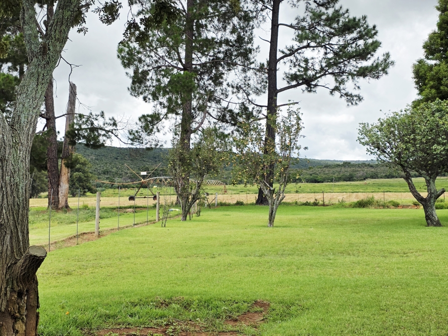 5 Bedroom Property for Sale in Mookgopong Limpopo