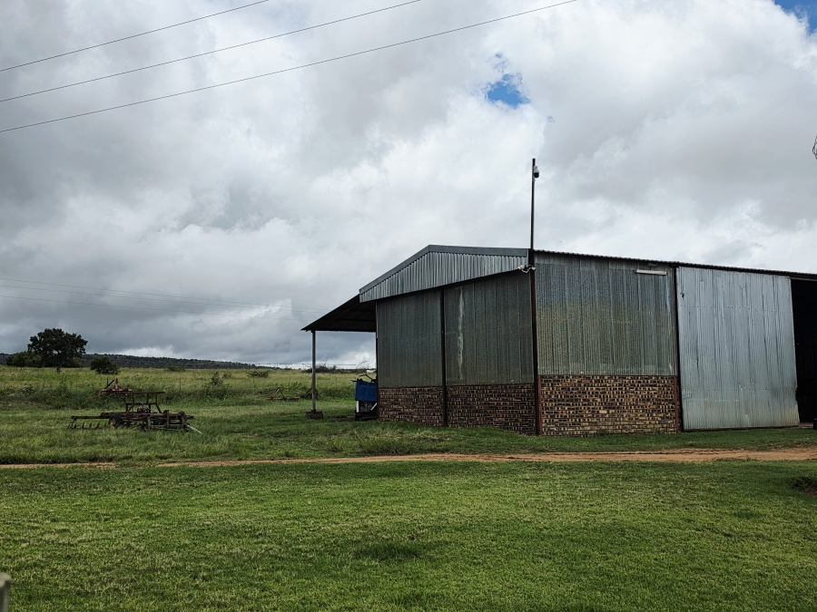 5 Bedroom Property for Sale in Mookgopong Limpopo