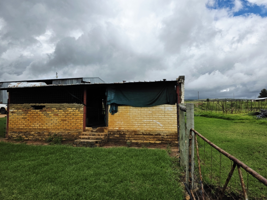 5 Bedroom Property for Sale in Mookgopong Limpopo