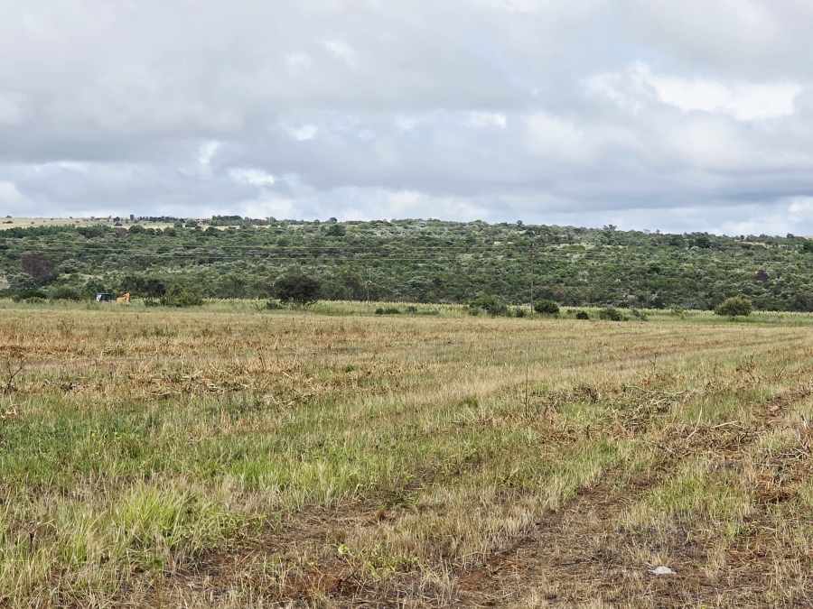 5 Bedroom Property for Sale in Mookgopong Limpopo