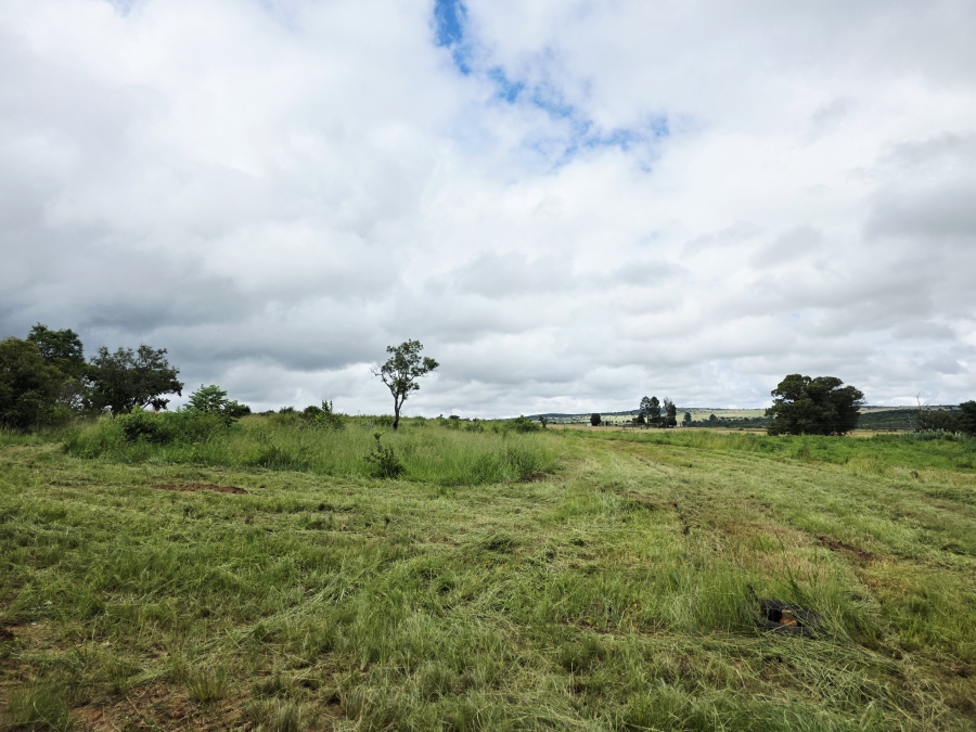 5 Bedroom Property for Sale in Mookgopong Limpopo