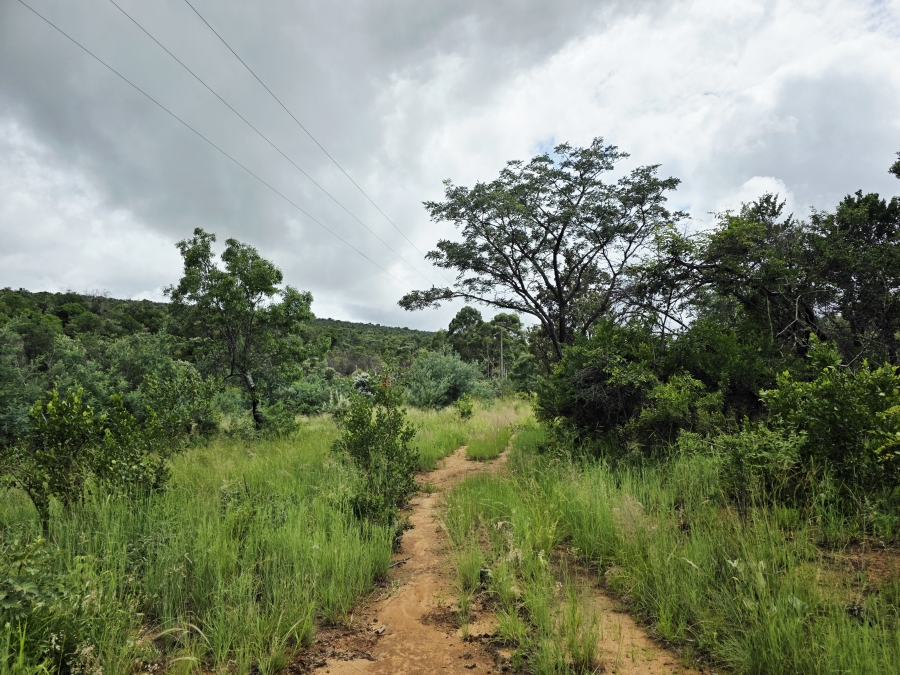 5 Bedroom Property for Sale in Mookgopong Limpopo
