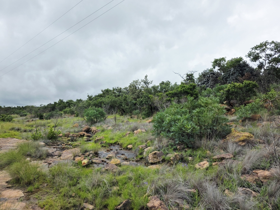 5 Bedroom Property for Sale in Mookgopong Limpopo