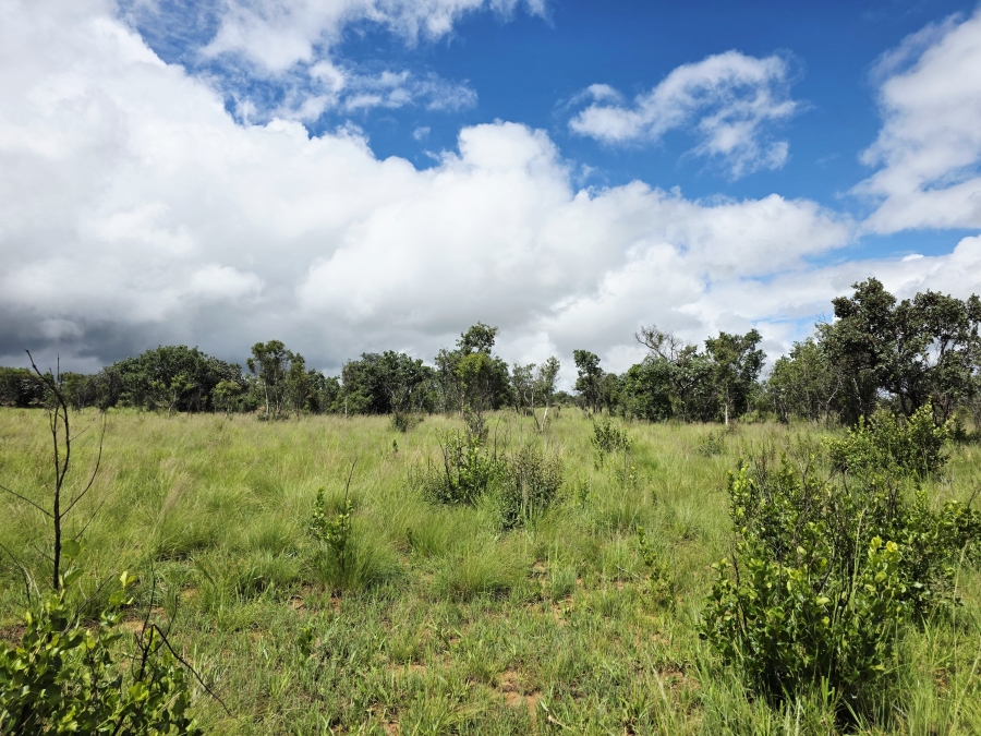 5 Bedroom Property for Sale in Mookgopong Limpopo