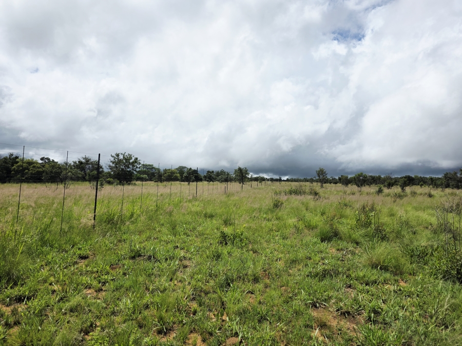 5 Bedroom Property for Sale in Mookgopong Limpopo