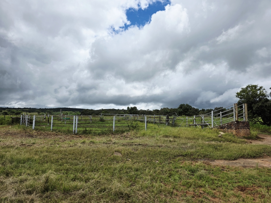 5 Bedroom Property for Sale in Mookgopong Limpopo