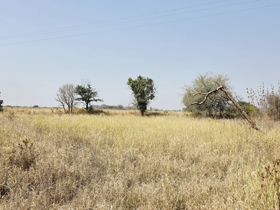 5 Bedroom Property for Sale in Roedtan Limpopo