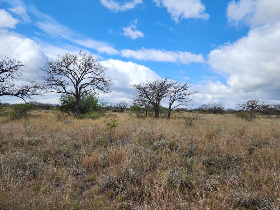 3 Bedroom Property for Sale in Polokwane Rural Limpopo