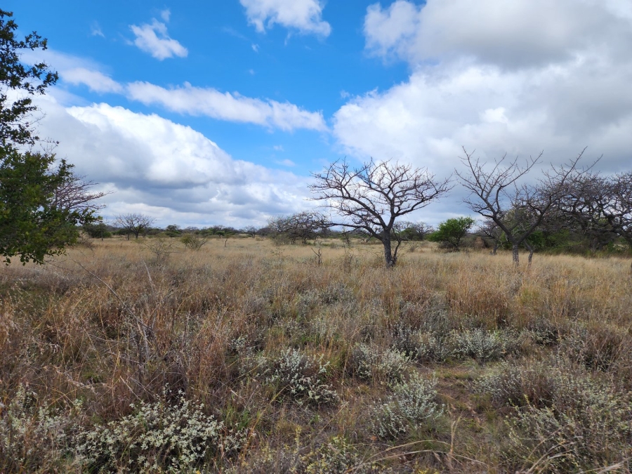 3 Bedroom Property for Sale in Polokwane Rural Limpopo