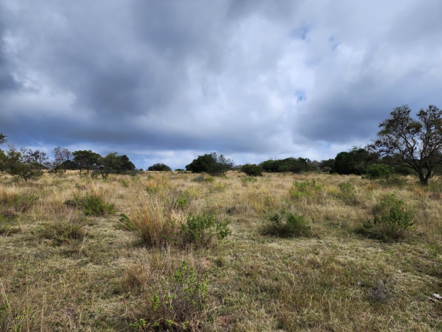 3 Bedroom Property for Sale in Polokwane Rural Limpopo