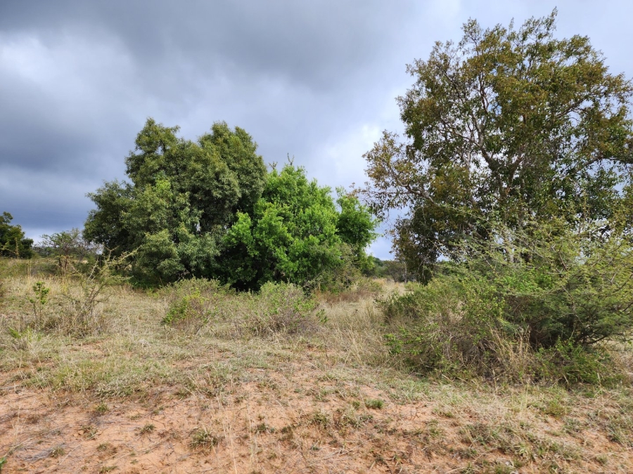 3 Bedroom Property for Sale in Polokwane Rural Limpopo