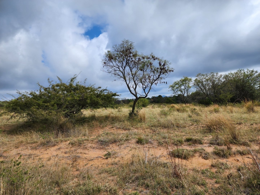 3 Bedroom Property for Sale in Polokwane Rural Limpopo