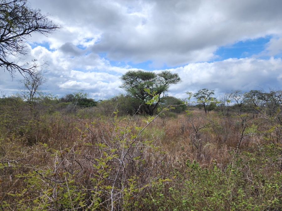3 Bedroom Property for Sale in Polokwane Rural Limpopo