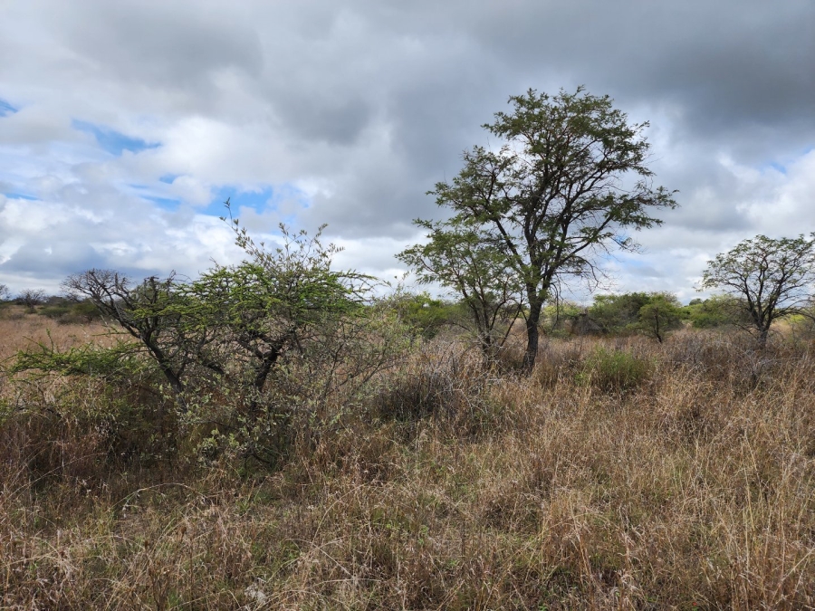 3 Bedroom Property for Sale in Polokwane Rural Limpopo