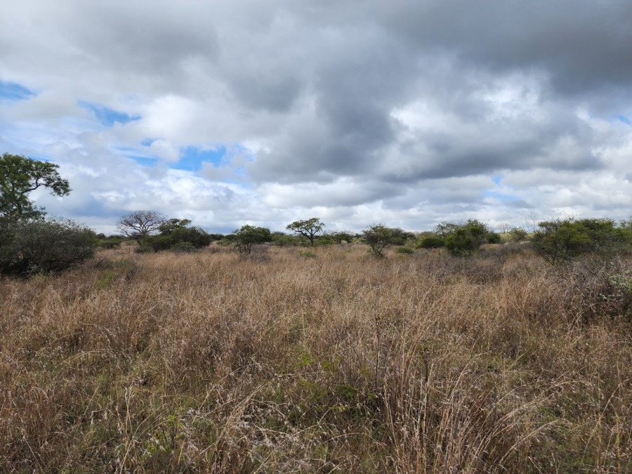 3 Bedroom Property for Sale in Polokwane Rural Limpopo
