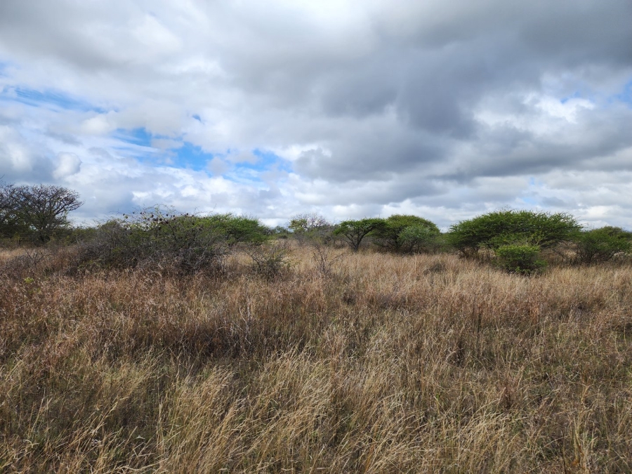 3 Bedroom Property for Sale in Polokwane Rural Limpopo