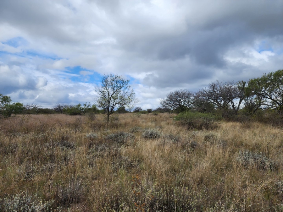 3 Bedroom Property for Sale in Polokwane Rural Limpopo
