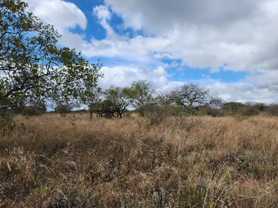 3 Bedroom Property for Sale in Polokwane Rural Limpopo