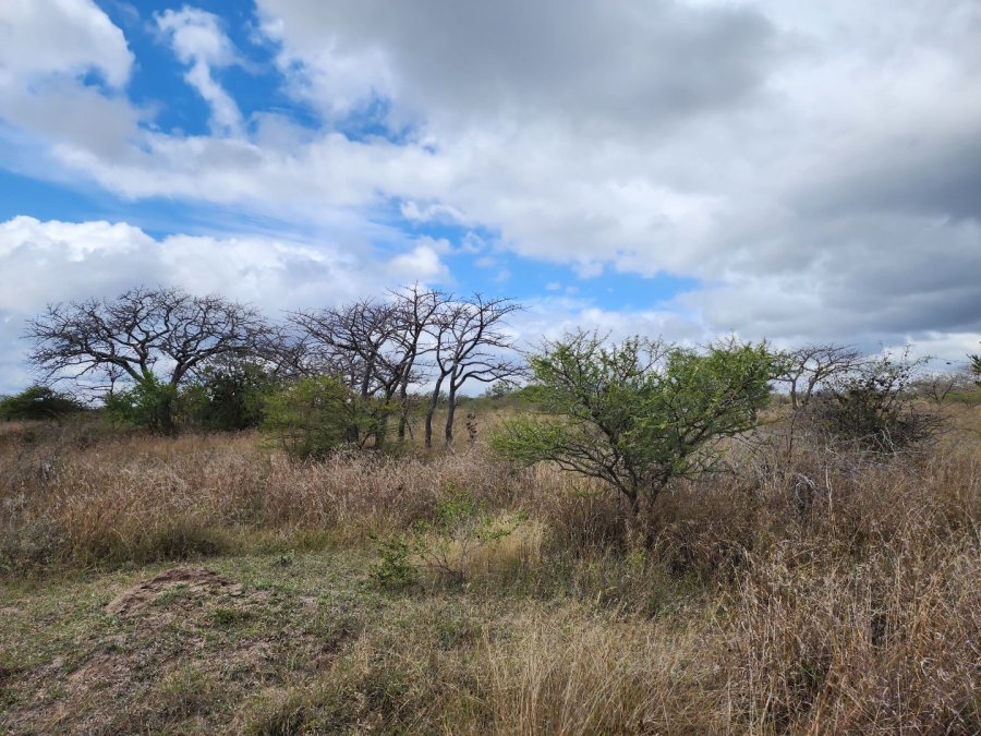 3 Bedroom Property for Sale in Polokwane Rural Limpopo