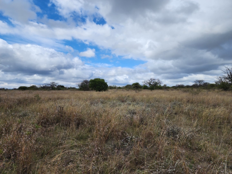 3 Bedroom Property for Sale in Polokwane Rural Limpopo