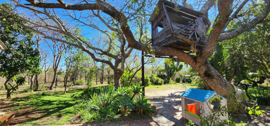 3 Bedroom Property for Sale in Polokwane Rural Limpopo