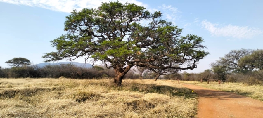 6 Bedroom Property for Sale in Mokopane Rural Limpopo