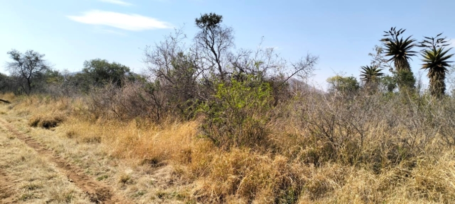 6 Bedroom Property for Sale in Mokopane Rural Limpopo