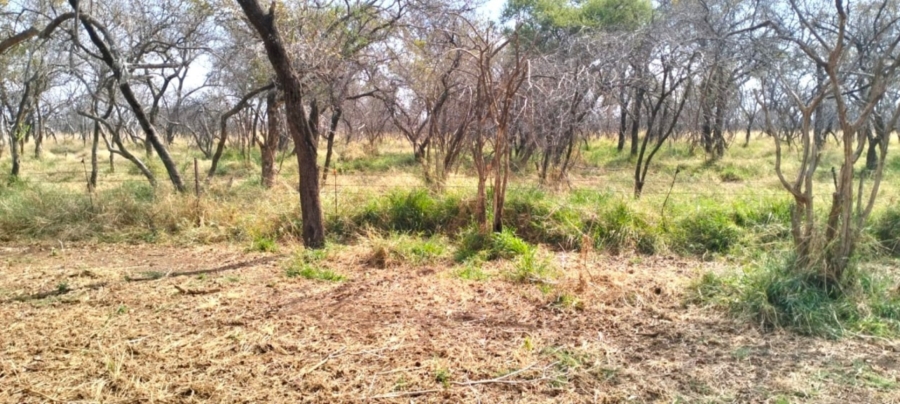 6 Bedroom Property for Sale in Mokopane Rural Limpopo