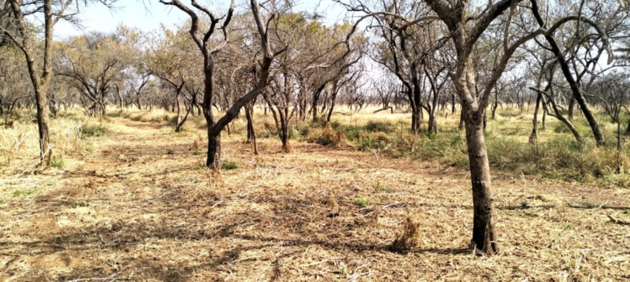6 Bedroom Property for Sale in Mokopane Rural Limpopo