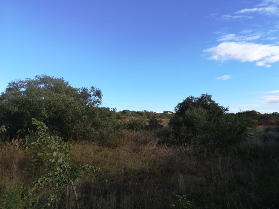 0 Bedroom Property for Sale in Sterpark Limpopo