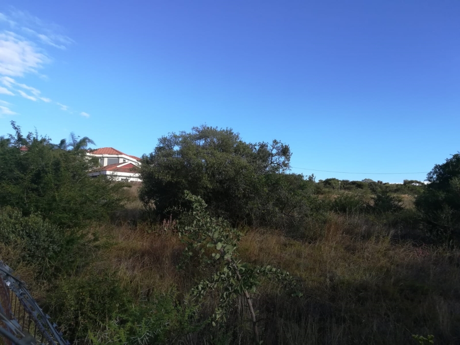 0 Bedroom Property for Sale in Sterpark Limpopo