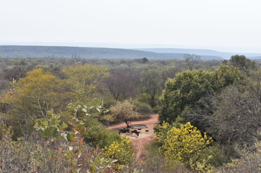 6 Bedroom Property for Sale in Bela Bela Limpopo