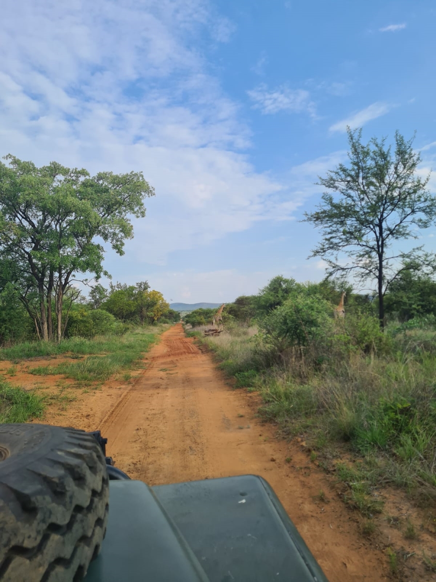 4 Bedroom Property for Sale in Marble Hall Limpopo