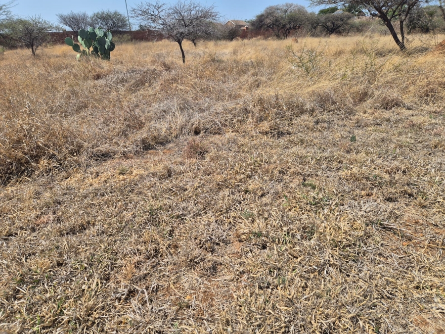 0 Bedroom Property for Sale in Bendor Limpopo
