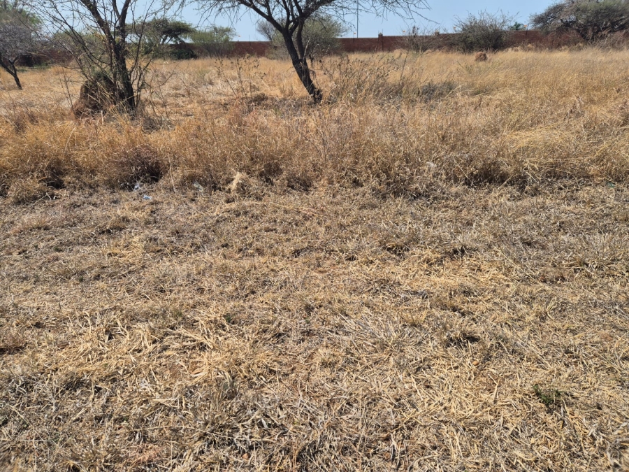 0 Bedroom Property for Sale in Bendor Limpopo