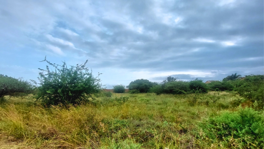 0 Bedroom Property for Sale in Bendor Limpopo