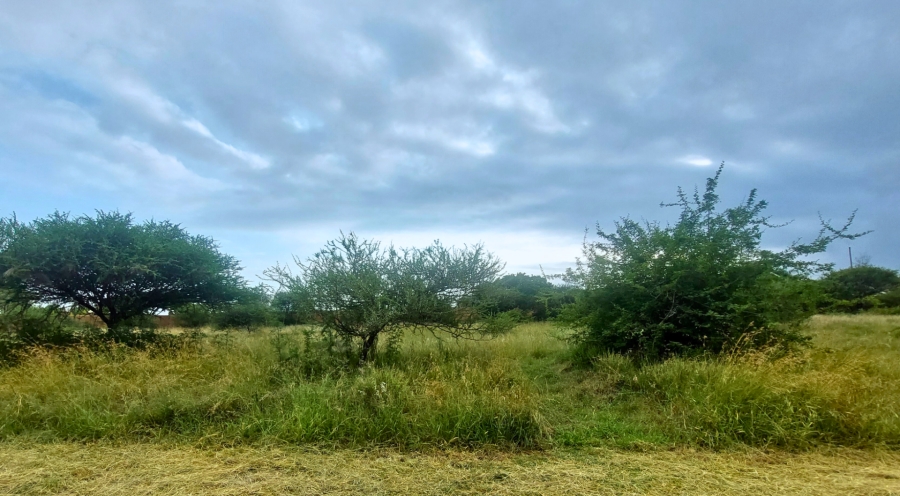 0 Bedroom Property for Sale in Bendor Limpopo