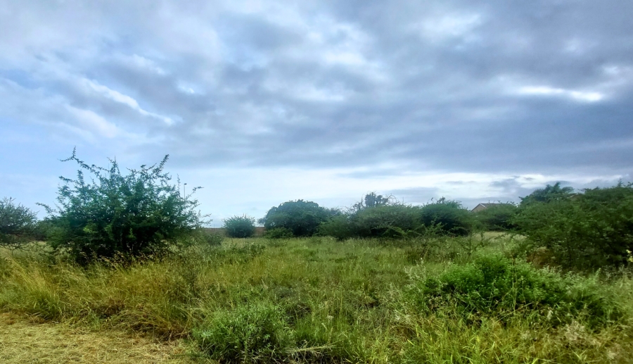 0 Bedroom Property for Sale in Bendor Limpopo