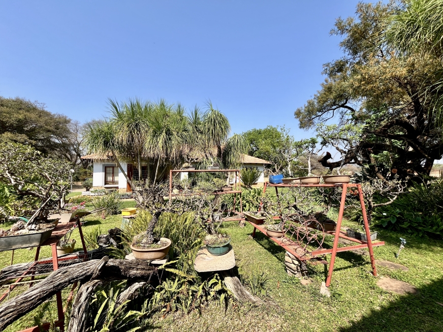 3 Bedroom Property for Sale in Bela Bela Limpopo