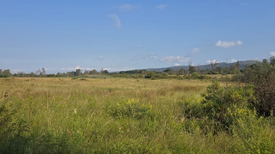 3 Bedroom Property for Sale in Bela Bela Limpopo