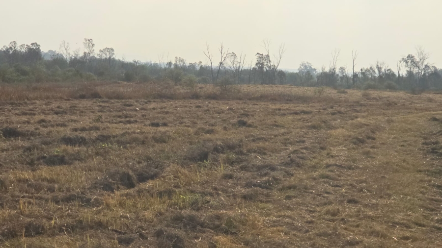 3 Bedroom Property for Sale in Bela Bela Limpopo