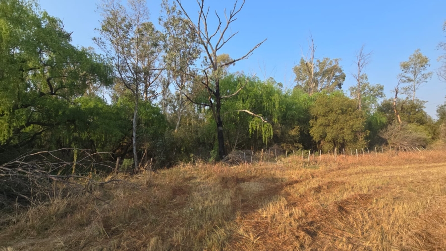 3 Bedroom Property for Sale in Bela Bela Limpopo