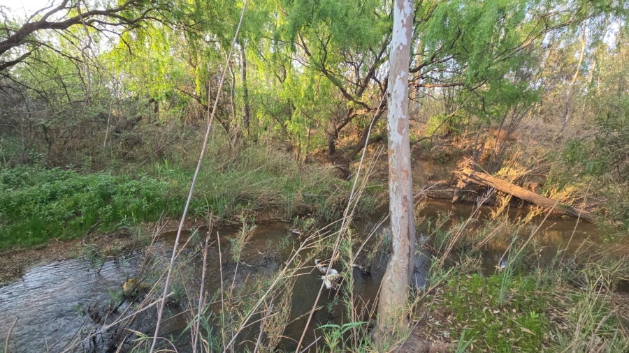3 Bedroom Property for Sale in Bela Bela Limpopo