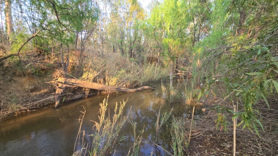 3 Bedroom Property for Sale in Bela Bela Limpopo