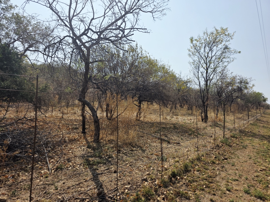 5 Bedroom Property for Sale in Bela Bela Limpopo