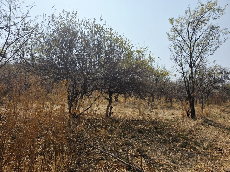5 Bedroom Property for Sale in Bela Bela Limpopo