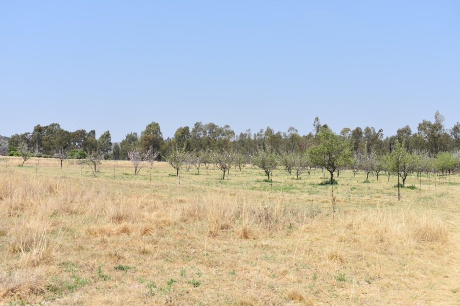 6 Bedroom Property for Sale in Bela Bela Limpopo